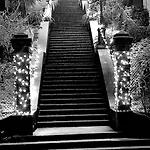 Roma Hotel Sestola